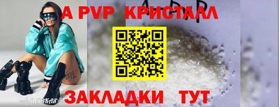 СК Кингисепп