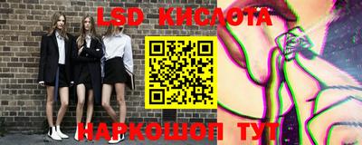 СК Кингисепп