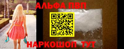 СК Кингисепп
