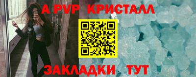 СК Кингисепп