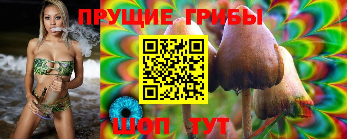 Псилоцибиновые грибы Psilocybine cubensis  Псилоцибиновые грибы MAGIC MUSHROOMS  Вход с VPN  Шали 